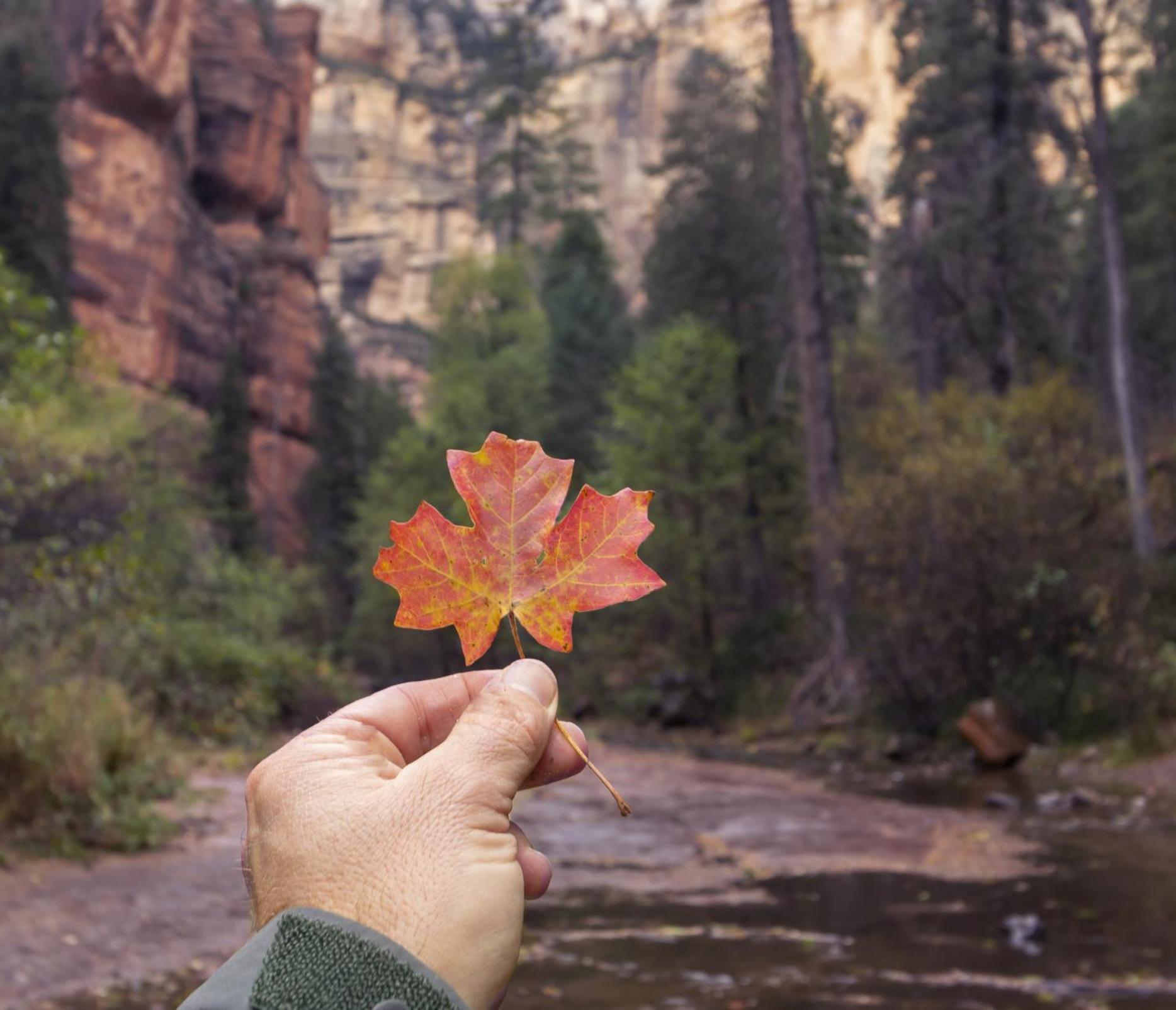 Holiday home Enjoy Redrock Views W A Fire Pit Cornhole Games At Starlite Sedona